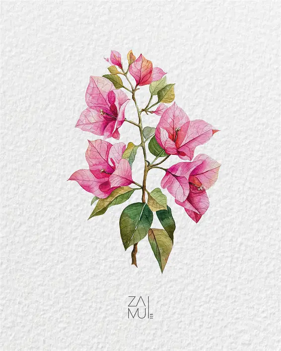 Pintar para florecer (bugambilias)